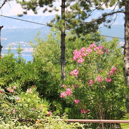 Apartments Grskovic G. Jesenovica Šilo Eksteriør billede